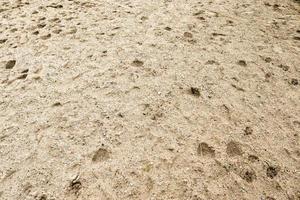 Detailed close up view on sand on a beach at the baltic sea photo