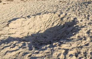 Detailed close up view on sand on a beach at the baltic sea photo