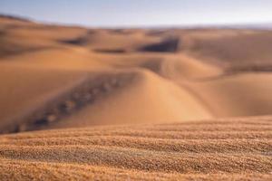 Beautiful shiny brown sand with natural waves pattern on sunny day photo