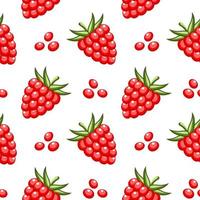 Seamless pattern, red raspberries with scattered seeds on a white background. Fruit background, print, textile, vector