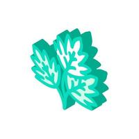 parsley leaves isometric icon vector illustration