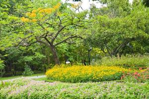 The decoration of the flower garden is beautiful and colorful in the beautiful Chatuchak garden. photo