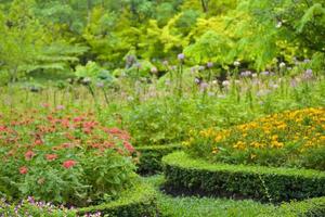 The decoration of the flower garden is beautiful and colorful in the beautiful Chatuchak garden. photo