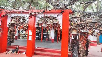 templo golu devta, el templo uttarakhand está dedicado a gollu devta, una encarnación de gaur bhairav. foto