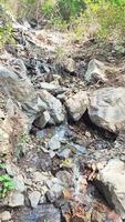 cascadas, una atracción memorable cerca de bhimtal. Los turistas aventureros vienen a disfrutar aquí regularmente. foto