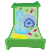 The Plant Cell vector