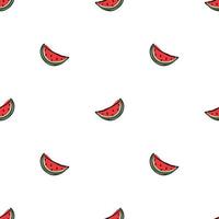 seamless watermelon pattern. vector doodle illustration with watermelon. pattern with red watermelon