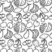 Seamless fruits pattern. Black and white doodle fruits pattern. Fruits background vector