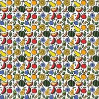 Seamless fruit pattern Colored doodle background with fruit icons Fruit background vector