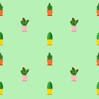 Seamless pattern background. Kawaii cactus in the colorful pot on sweet color background. vector