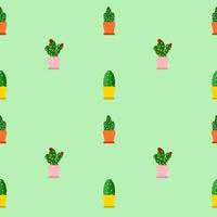 Seamless pattern background. Kawaii cactus in the colorful pot on sweet color background. vector