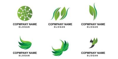 premium quality green leaf plant logo vector symbol