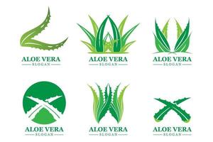 Green plant aloe vera logo vector icon symbol many benefits