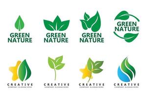 premium quality green leaf plant logo vector symbol