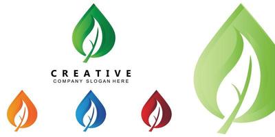 premium quality green leaf plant logo vector symbol