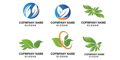 premium quality green leaf plant logo vector symbol