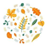 Fall leaves in circle vector set. Autumn yellow, orange and green foliage. Flat illustration in cartoon style.