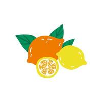 Tropical lemons hand drawn in doodle style and isolated on white background. Vector illustration