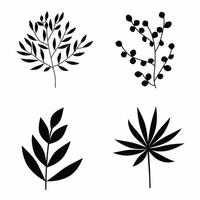 Set of black silhouettes of tropical leaves, palm trees, trees, branches with leaves. Vector. vector