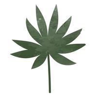 decorative watercolor palm, isolated on a white background vector