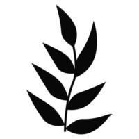 silhouette of decorative twigs of plants with leaves isolated on a white background. vector