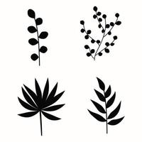 Set of black silhouettes of tropical leaves, palm trees, trees, branches with leaves. Vector. vector