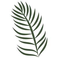 palm leaves drawn with lines in the style of linear art, isolated vector
