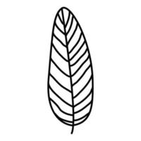 decorative twigs of plants with leaves drawn with lines, in the style of line art, isolated on a white background. vector