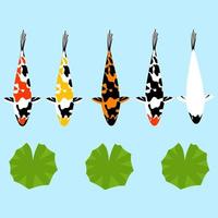 ilustración vectorial de un conjunto de peces koi y loto. pez dorado koi japonés con varios colores. carpa china asiática. fondo oriental imprimible y excelente para la decoración del hogar. vector