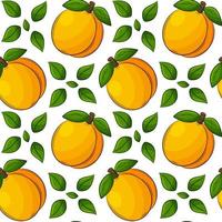 Bright juicy summer fruit seamless pattern. Hand-drawn fruit with an outline.Apricots, peaches with leaves. For summer textiles, food packaging, napkins.Color vector illustration on a white background