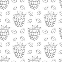 monocromo negro blanco fruta de patrones sin fisuras. frambuesas dibujadas a mano, moras. fondo de esquema simple para diseño web, embalaje de productos, servilletas, telones de fondo. ilustración vectorial en blanco vector