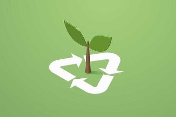 Recycle symbol and green tree sapling