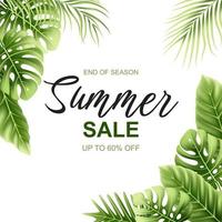 Summer sale tropical banner template design vector