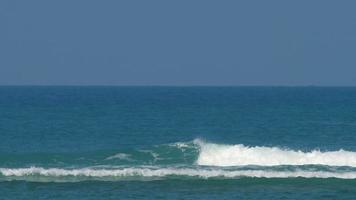 onde sulla barriera corallina video