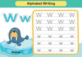 Alphabet Letter  W - Walrus exercise with cartoon vocabulary illustration, vector