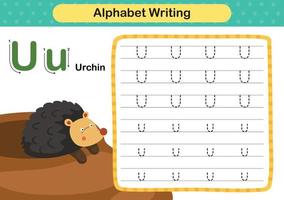 letra del alfabeto u - ejercicio de erizo con ilustración de vocabulario de dibujos animados, vector