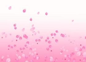 sakura flower background vector