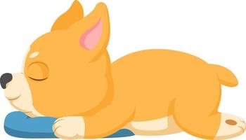 lindo perro corgi durmiendo con almohada vector