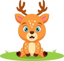 Cute little deer sitting in the grass vector