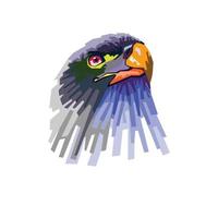 ilustración colorida del águila vector