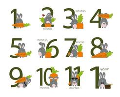 12 month of a baby s life with a bunny vector