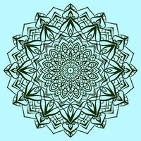 mandala vector art pattern. traditional round lace decoration. circular design element