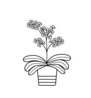 Blooming orchid in a pot. Vector illustration of a tropical flower doodle icon.