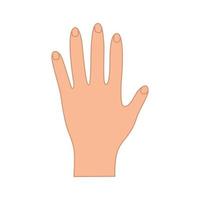 Palm five fingers up. Hand gesture of greeting, vector illustration of isolate on white.