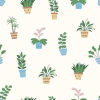 Seamless pattern potted flowers, vector illustration background ficus, dracaena, orchid
