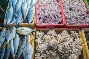 Variety of fresh seafood on market. Fresh salmon, sea bass, red snapper, mackerel, crab, lobster, shrimp, black mussels, oyster, scallop and octopus on ice in market photo