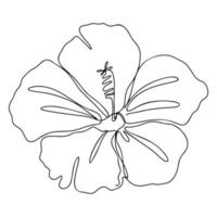 One Line Drawing, Single Continuous Line Sketch Flower vector