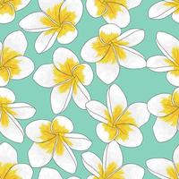 flores de plumeria, fondo floral transparente vector