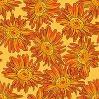 Gerbera Daisy Hand Drawn Seamless Pattern Background vector