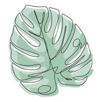 dibujo de una línea, hoja de palma de monstera de un solo boceto de línea continua vector